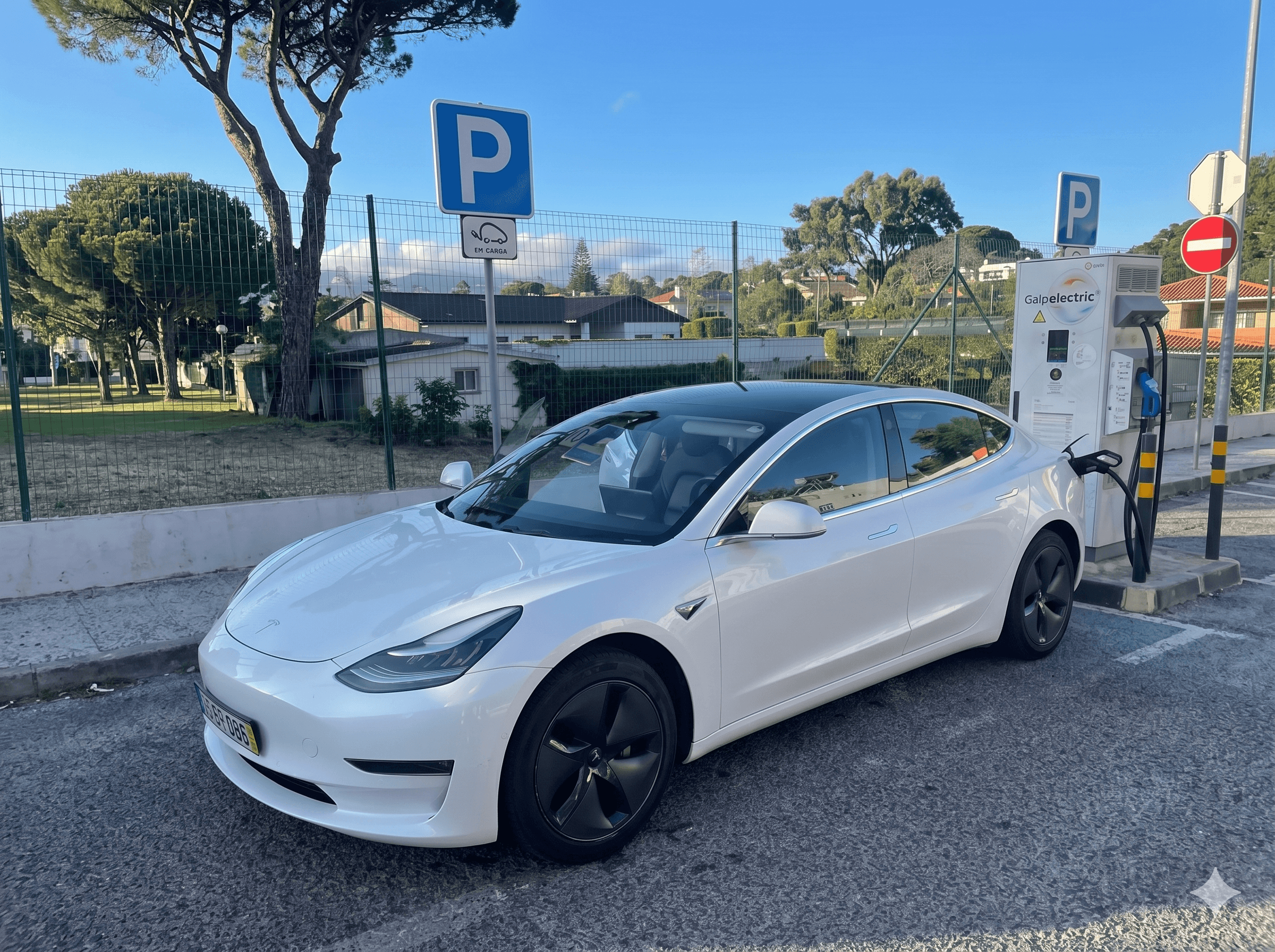 Tesla premium transfer
